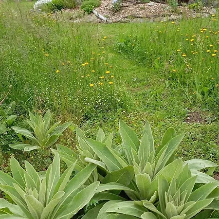 Maringotka Na Hornim Konci Udavy