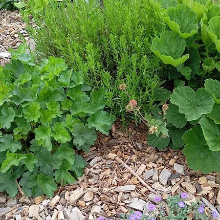Maringotka Na Hornim Konci Semesterbostad *